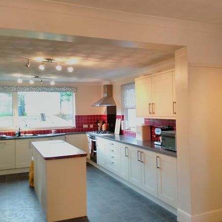 Trevowah - Couples Only Bed and Breakfast New Quay Zewnętrze zdjęcie